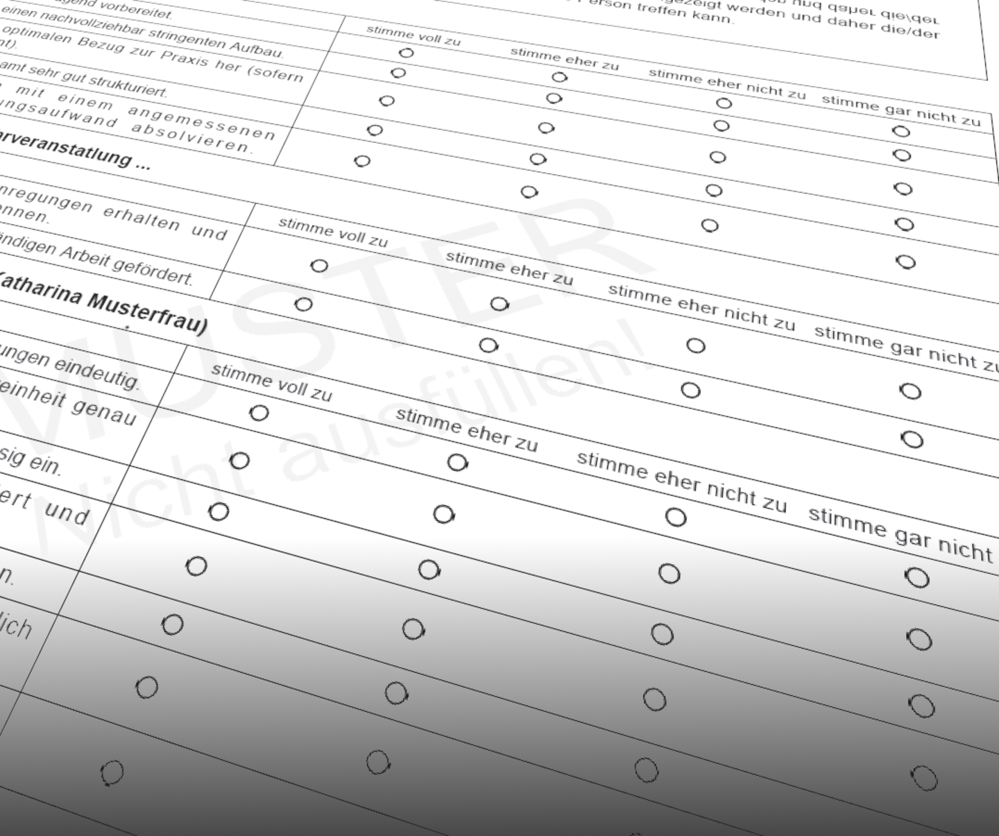 Ausschnitt aus einem Fragebogen einer Studierendenbefragung